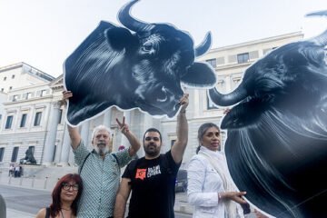 El PSOE da marcha atrás y tumba la iniciativa ciudadana para derogar la protección a la tauromaquia