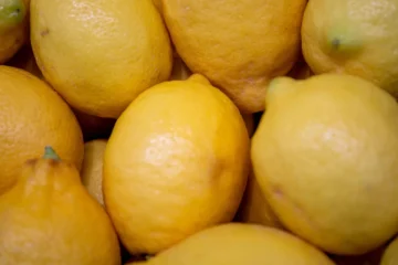 Reino Unido, entre los principales receptores de los limones marroquíes
