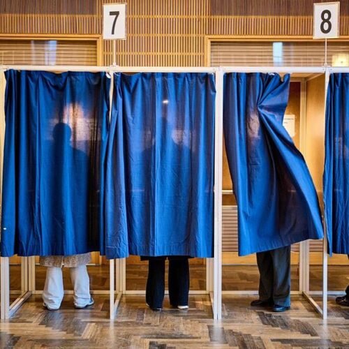 El cerdo protagoniza las elecciones de Dinamarca