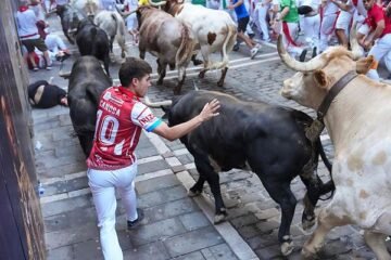 Segundo encierro de San Fermín: Cebada no hace honor a su leyenda negra