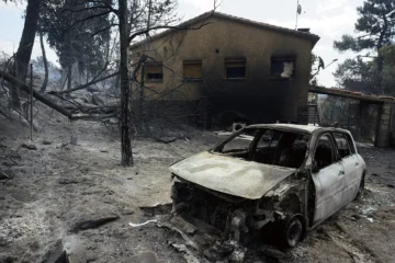 Incendios en Madrid y resto de España, última hora de hoy, en directo | El fuego en Ávila y Madrid avanza aún sin control  con cerca de 60.000 evacuados y 45.000 hectáreas quemadas y el Gobierno amplía la emergencia nacional  a Toledo