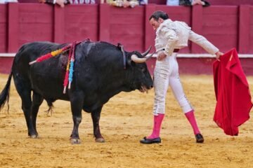 David de Miranda es el «número 1» en rendimiento de un escalafón que lidera Talavante y en el que mandan Morante y Roca Rey
