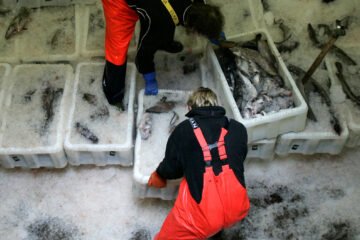 Las Islas Feroe no quieren a Dinamarca de niñera