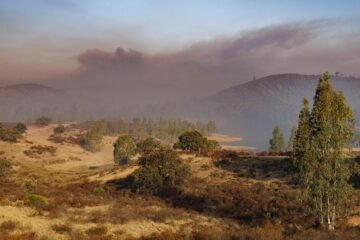 El incendio de Niebla, que afecta ya a 28.000 hectáreas, avanza por el este y entra en la Pata del Caballo, de complicada orografía y densa masa forestal