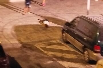 Tres muertos en un tiroteo en Isla Cristina, incluida una mujer embarazada y un menor, por rencillas familiares del narcotráfico