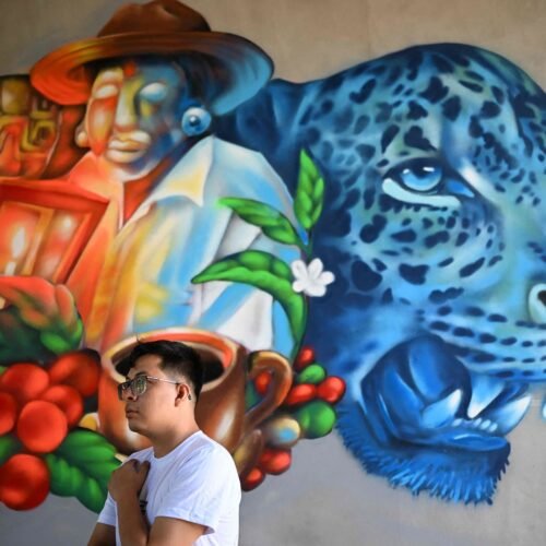 El Salvador tras las pandillas: la paz vigilada de Bukele