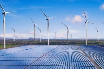 Las renovables firman su mejor mes julio al generar el 54% de la luz en España y aumentar su producción hasta los 14.699 GWh