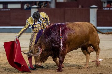 La belleza madura de Diego Urdiales bajo la lluvia evoca a Curro Vázquez en Las Ventas