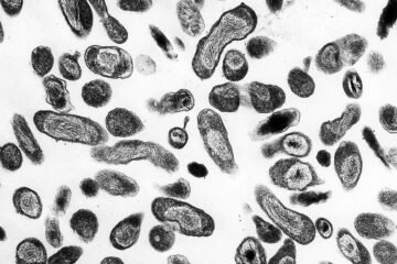Muere una investigadora en un laboratorio de Siberia tras un posible accidente con un patógeno de la peste