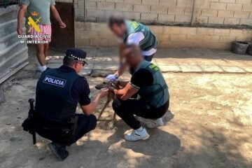 La Guardia Civil detiene a cuatro personas acusadas de robo y maltrato de galgos de competición en Bollullos de la Mitación (Sevilla)