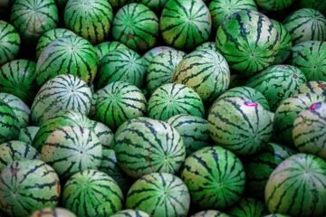 España compra a Marruecos más de 52 millones de kilos de sandía por 44 millones de euros